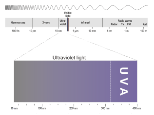  UVA
                    region of the Ultraviolet Spectrum