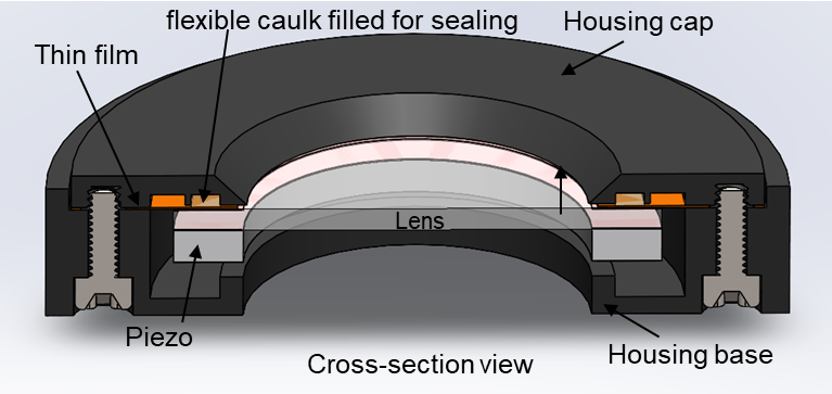  The Cross-Section View of the
                LCS