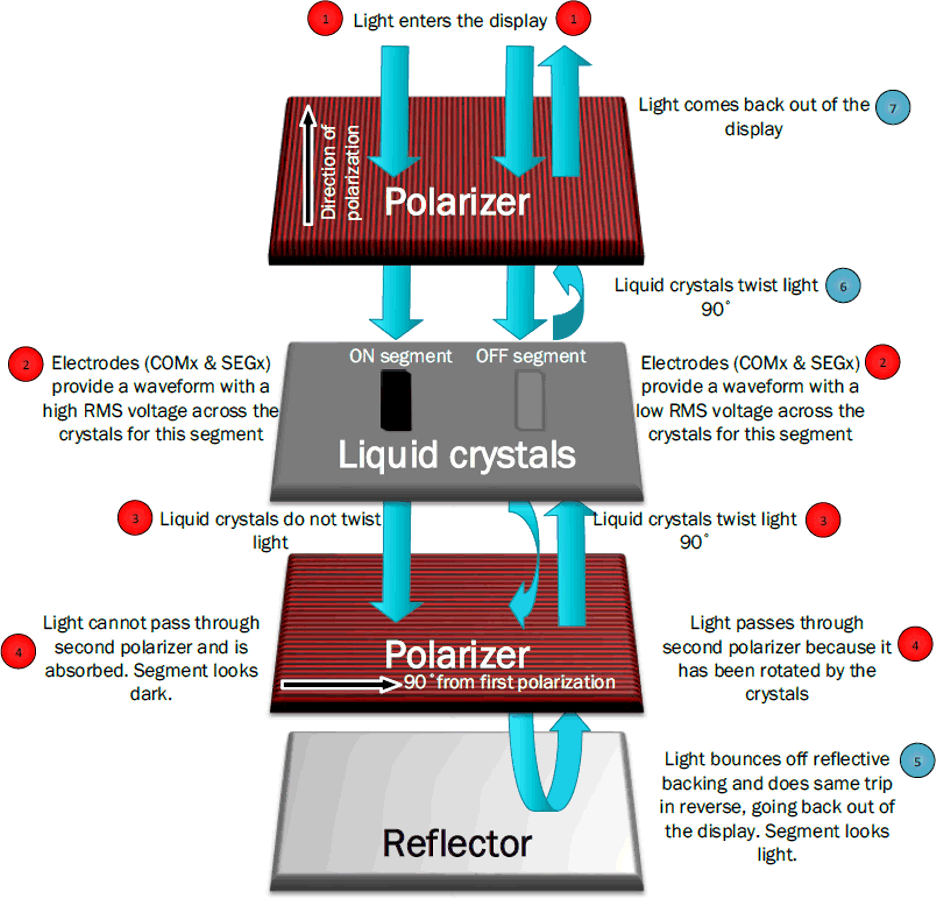 MSPM0L222x Segmented LCD Structure and Theory