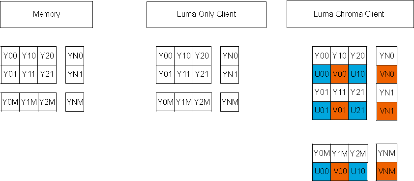 DRA742 DRA752 Y 4:2:2 (Data Type 1)