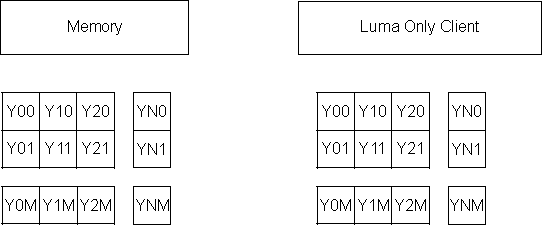 DRA742 DRA752 Y 4:2:0 (Data Type 2)