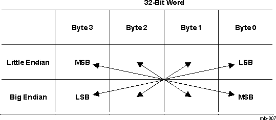 DRA742 DRA752 DMA Descriptor Table Endian Options