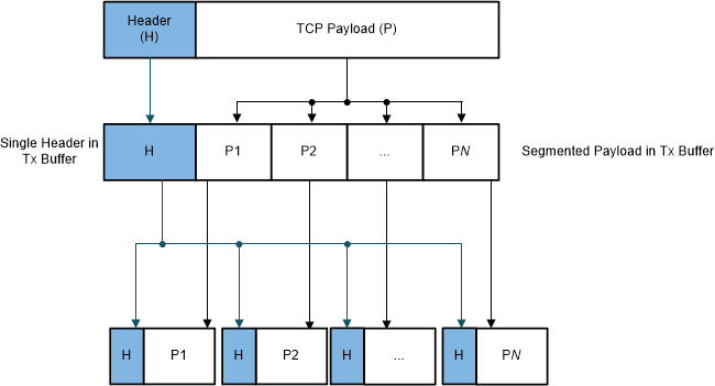 F2838x Header and Payload Fields of
                    Segmented Packets