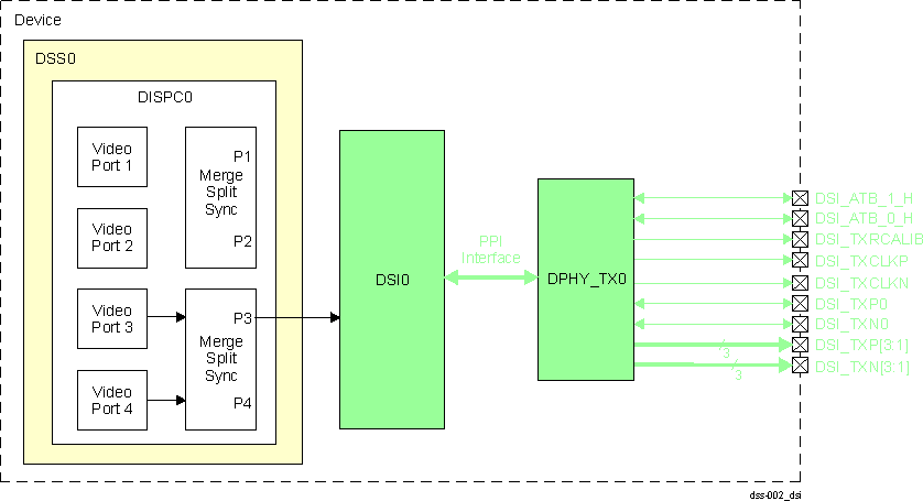  DSI
                    Interface Signals